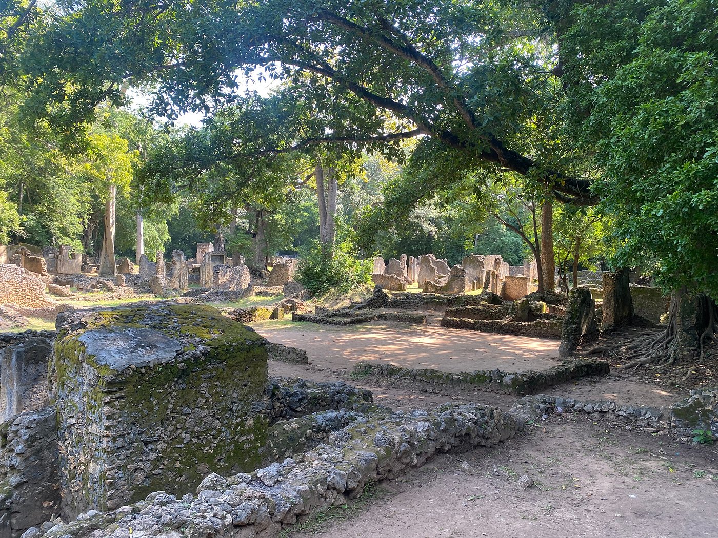 Foresta di Gede