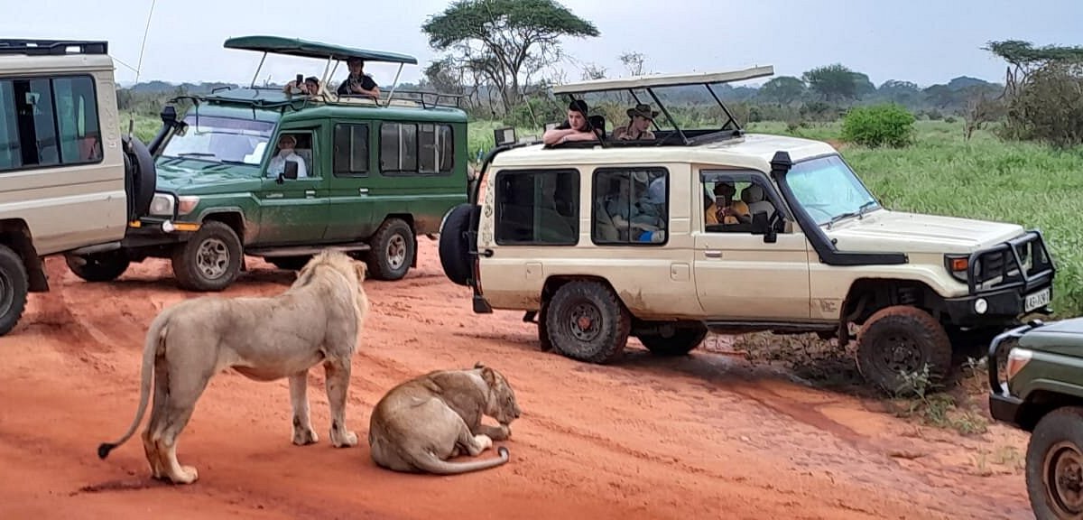 Safari e Watamu