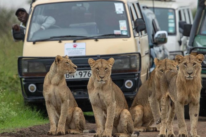 Game Drive mara