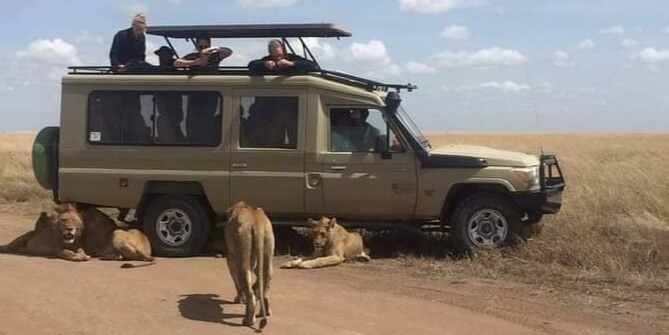 Game Drive