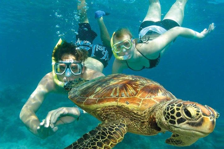 Snorkeling Watamu
