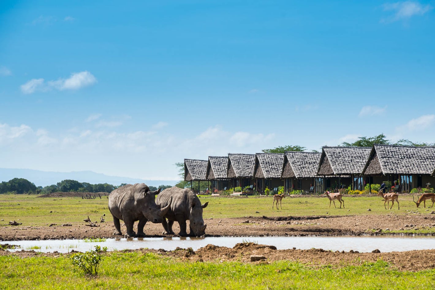 Samburu Safari