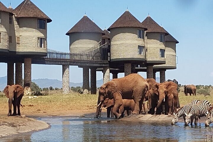 Tsavo East Safari