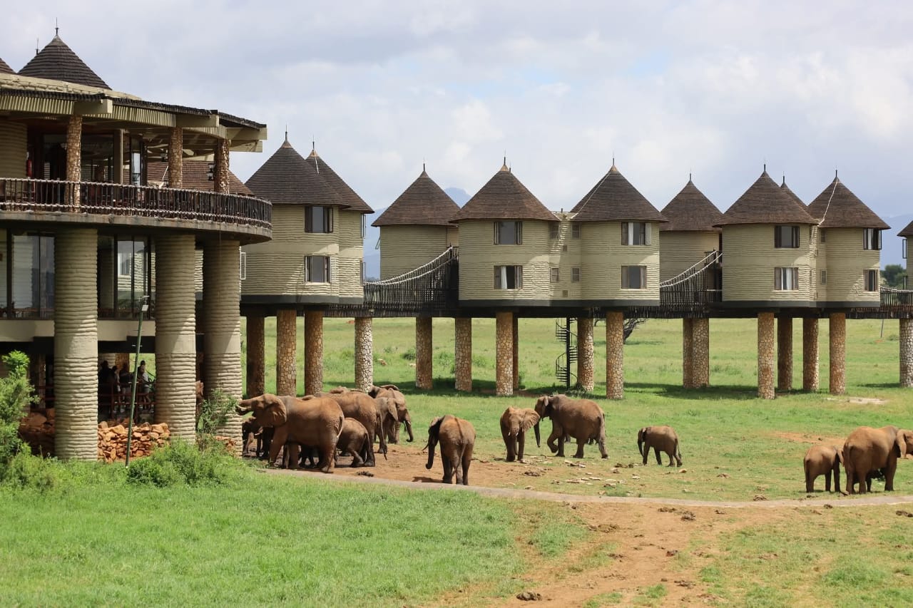 Tsavo Est e Taita Hills