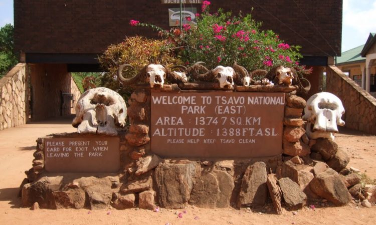 Game Drive Tsavo