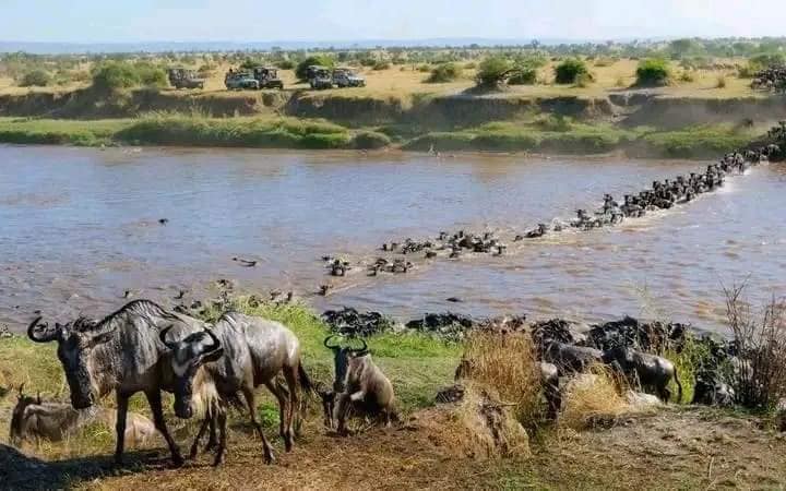 Tsavo East Safari
