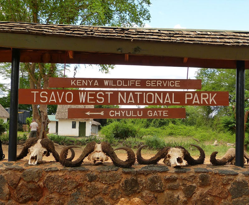 Tsavo Est Ovest Amboseli